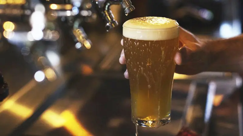 Close-up of a hand holding a frothy pint of beer at a bar after the 1 Day Noosa Everglades Explorer with Everglades Eco Safaris.