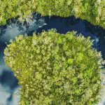 Stunning aerial view of Noosa Everglades’ winding river, ideal for an eco-friendly canoe safari adventure with Everglades Eco Safaris.