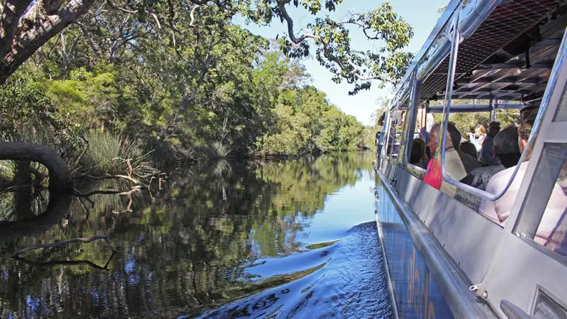 Travellers relax aboard the Noosa Everglades Serenity Cruise, drifting along a tranquil, tree-fringed river beneath a bright blue sky.