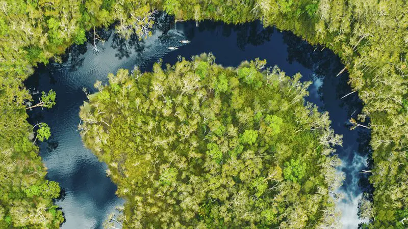 Stunning aerial view of a winding river cutting through lush Noosa Everglades forest, seen on a Half Day Serenity Cruise experience.