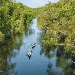 Two canoes glide along the scenic Noosa Everglades River under clear skies on a 1 Day Eco Safari tour, surrounded by lush nature.