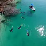 Snorkellers explore crystal-clear turquoise waters by a fallen tree on a remote 1-day K'gari Fraser Island experience adventure tour.