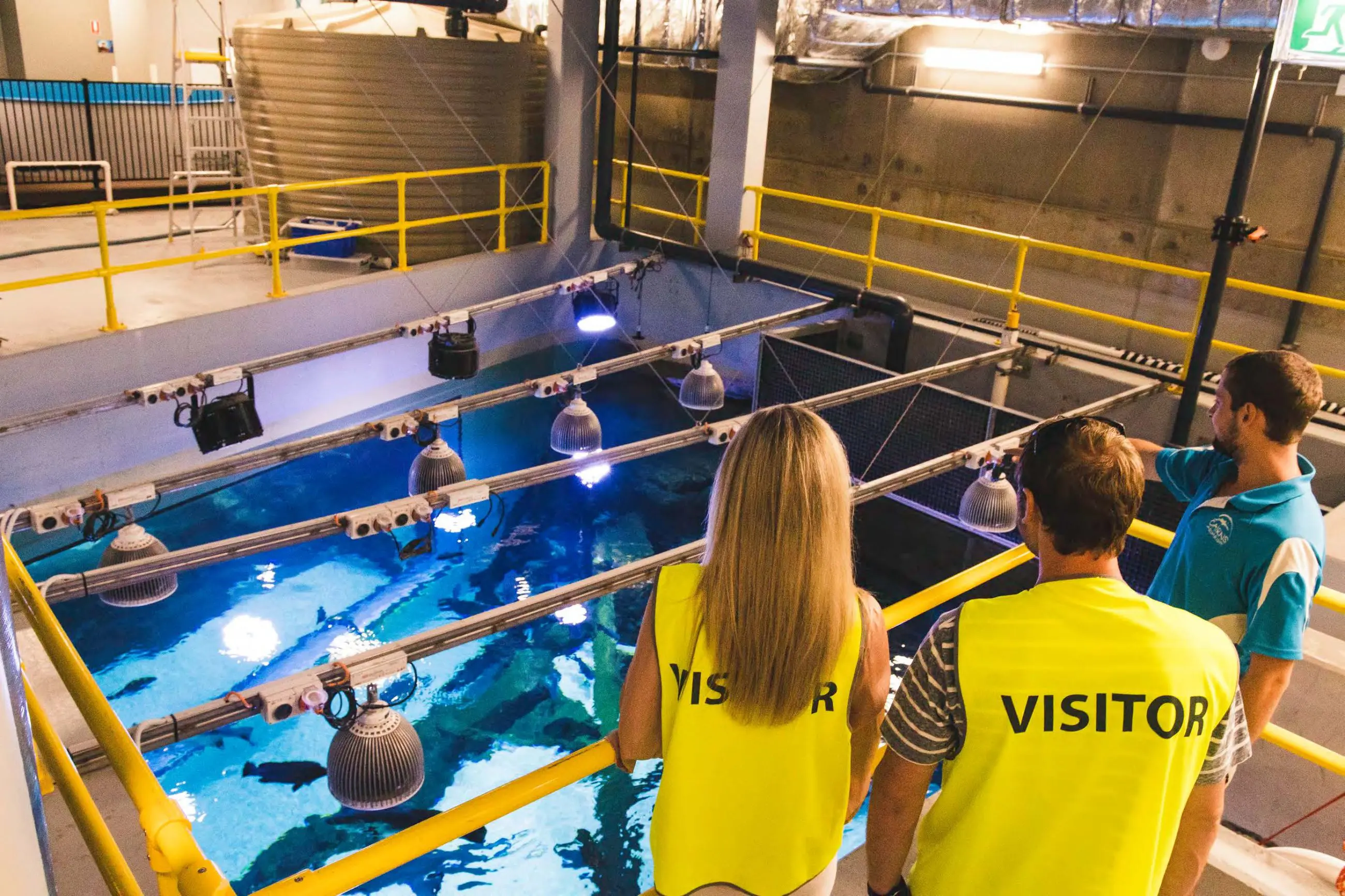 Three visitors in bright yellow vests watch diverse marine life from above during a Marine Life Encounter with gourmet two-course lunch.