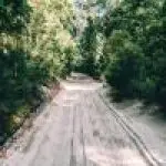 Scenic sandy dirt road flanked by lush green trees with dappled sunlight, like a Kgari Day Tour from Noosa—picturesque wilderness view.