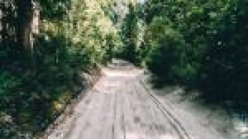 Scenic sandy dirt road flanked by lush green trees with dappled sunlight, like a Kgari Day Tour from Noosa—picturesque wilderness view.