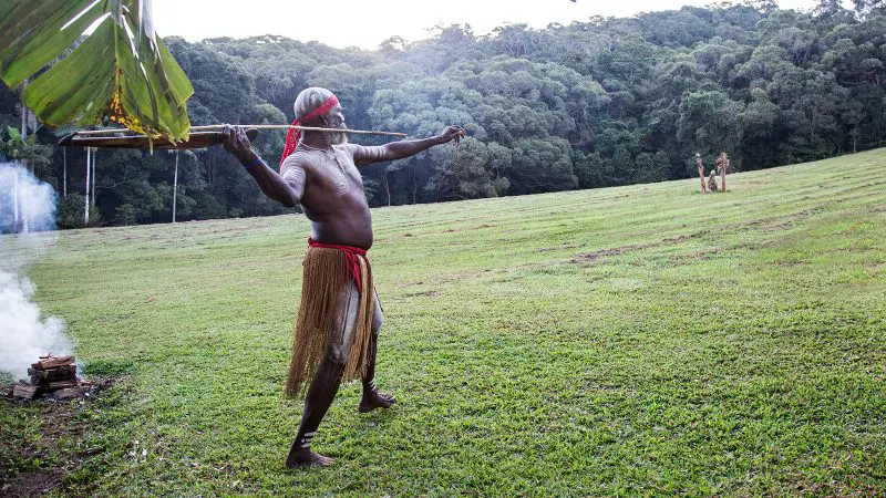 An Indigenous man poised with a spear on lush grassland by the forest, showcasing Grand Kuranda’s vibrant cultural traditions.