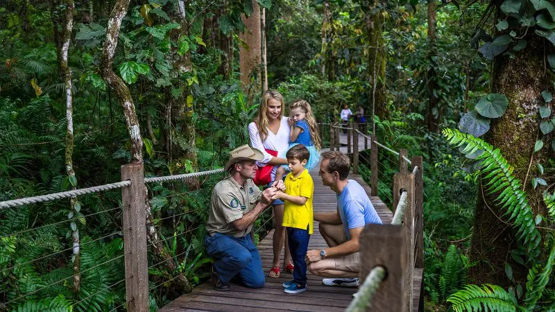 Grand Kuranda Scenic Railway: Park ranger displays wildlife to family with two children on lush rainforest walkway, educational tour activity.