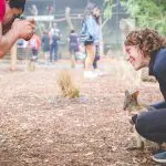 A happy woman poses with a kangaroo for a photo during an Uncharted Blue Mountains Tour at an Australian wildlife park.