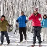 Four adventurers cross-country skiing on a pristine snowy trail during a Lake Mountain Snow Waterfalls Day Tour from Melbourne.