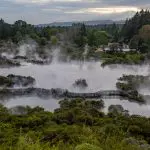 6091ee64c1149_1676_whaka-geothermal-trails-2