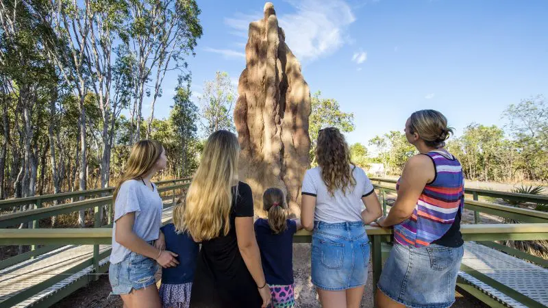 Group of five visitors on a platform at Litchfield National Park, observing a towering termite mound beneath the clear blue sky.