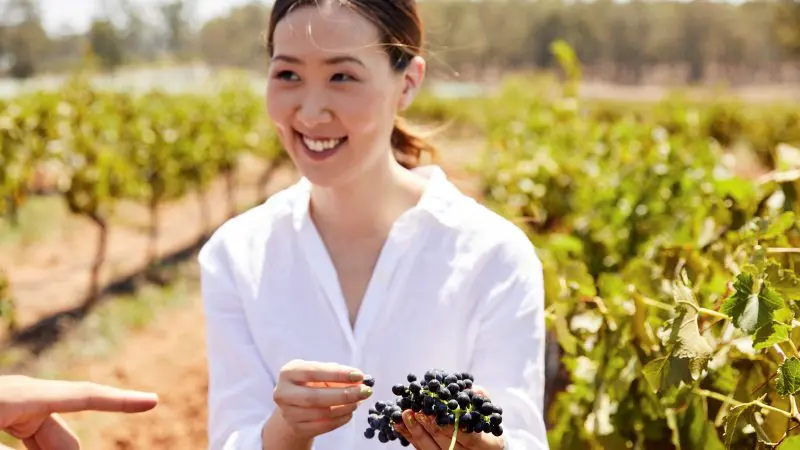 Happy woman holding bunches of black grapes in a lush Hunter Valley vineyard on a 1 Day Wine Tour, with scenic grapevines behind her.