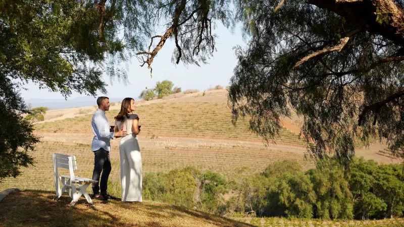 Couple by a white bench beneath a shady tree, admiring lush vineyard views on a Hunter Valley Scenic Wine Tour, 1-day experience.