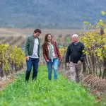 Visitors enjoy a guided 1 Day Hunter Valley Wine Tour, chatting and walking among lush grapevines beneath scenic cloudy skies.