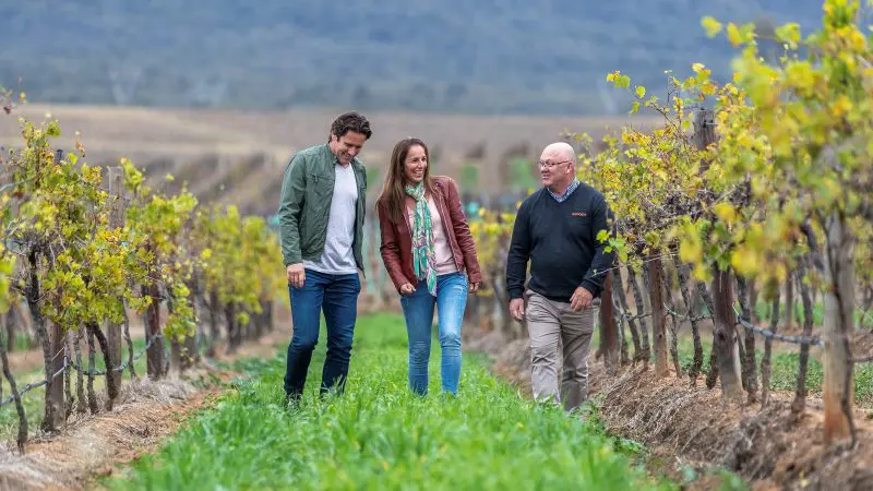 Visitors enjoy a guided 1 Day Hunter Valley Wine Tour, chatting and walking among lush grapevines beneath scenic cloudy skies.
