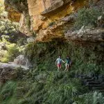 A couple hikes along a vibrant, sunlit cliffside trail surrounded by lush greenery on a Blue Mountains Sunset Wilderness Tour.