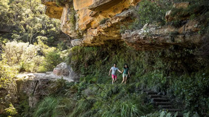 A couple hikes along a vibrant, sunlit cliffside trail surrounded by lush greenery on a Blue Mountains Sunset Wilderness Tour.