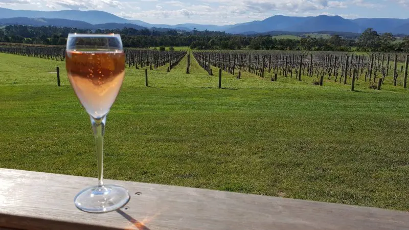 A glass of rosé rests on a railing, showcasing stunning Yarra Valley vineyard views during a relaxed winery tour under soft clouds.