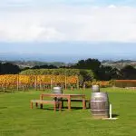 Yarra Valley winery tour: rustic wooden table and benches beside lush vineyards, scenic rolling hills, and dramatic cloudy skies.