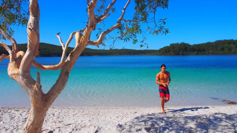 Man in swimming trunks walks on pristine white sand with dingoes nearby during 2 Day K’gari Fraser Island Tag Along Adventure tour.