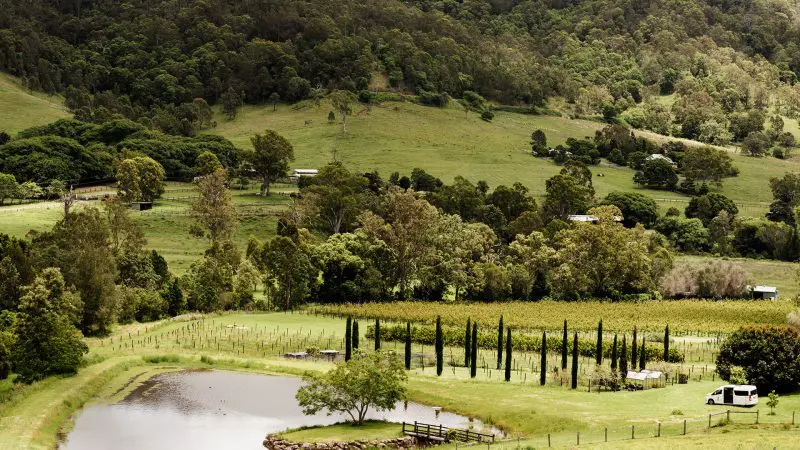 Scenic rural landscape featuring a tranquil pond, lush fields, and trees—ideal setting for an exclusive Ultimate Gold Coast Gourmet Tasting Experience.