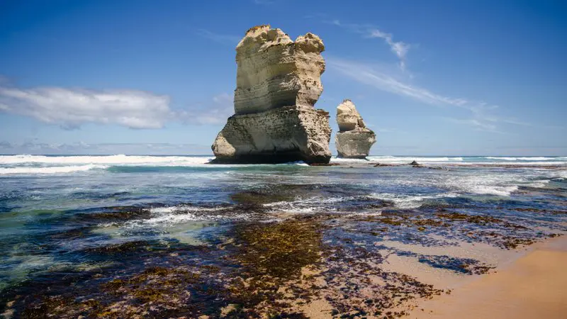 Majestic limestone sea stacks tower near a pristine sandy beach, iconic sights on the 1 Day Great Ocean Road Rainforest Tour.
