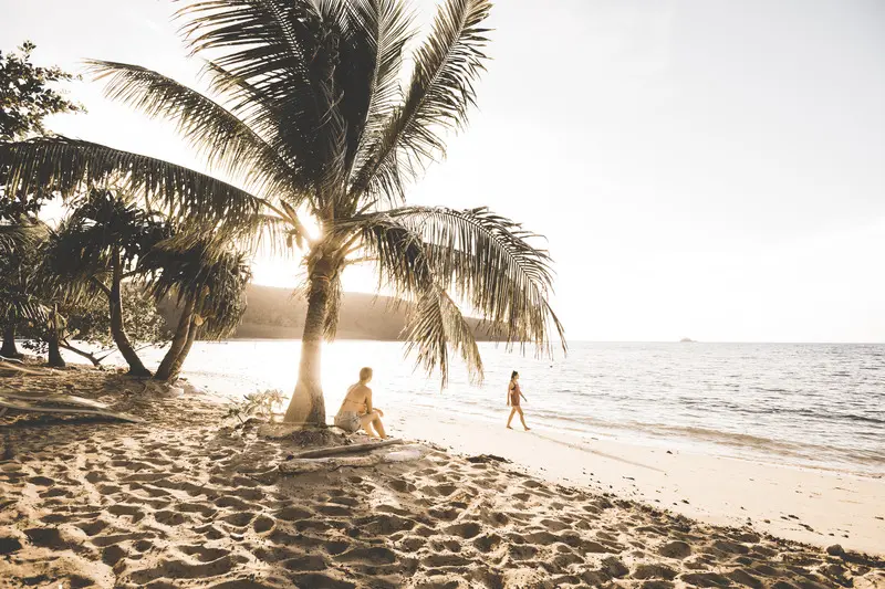 63f70b6059f08_334_ssc20142dk-2-1-3