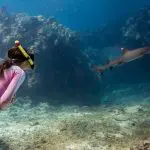 63f712bb35108_334_blue-lagoon-shark-dive-41-3