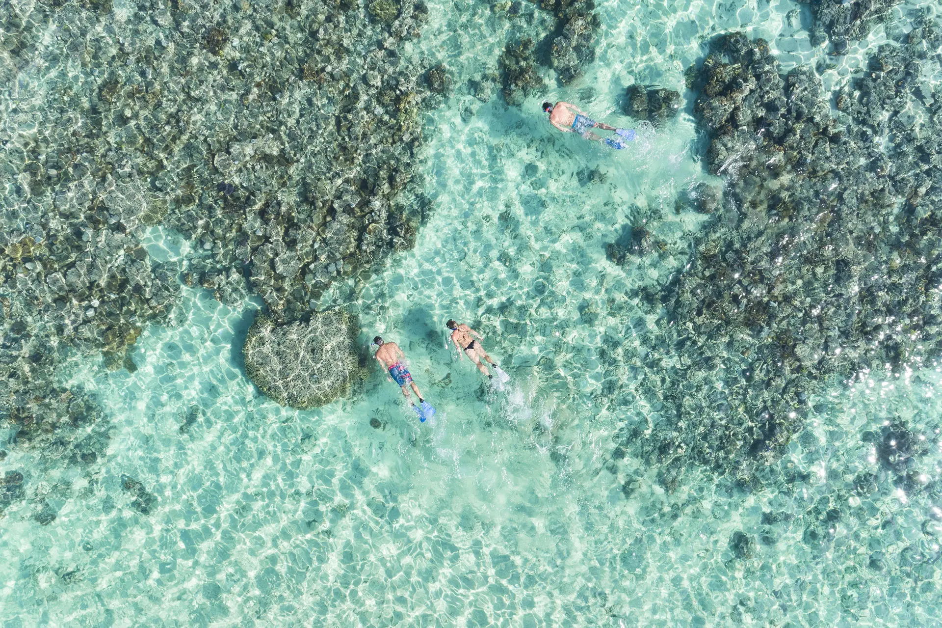 63f71314c613d_334_mclennanmantaray180250-2