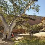 Three hikers explore a sunlit desert creek on the iconic 4 Day Uluru, Kata Tjuta, Kings Canyon & West MacDonnell tour adventure.