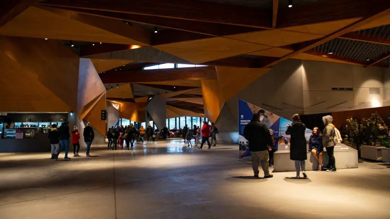 Visitors assemble in a sleek, modern venue before embarking on the 1 Day Phillip Island Penguin Parade Koalas Plus Viewing experience.