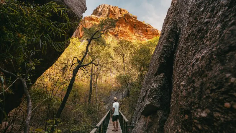 Traveller stands on a wooden bridge, admiring sunlit cliffs and lush trees on the popular 2 Day Kakadu Outback Retreat Tour from Darwin.