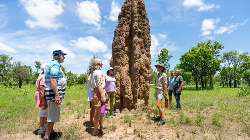 Tourists stand next to a towering termite mound in Litchfield on a 1 Day National Park Crocodile Cruise, enjoying Australian wildlife.