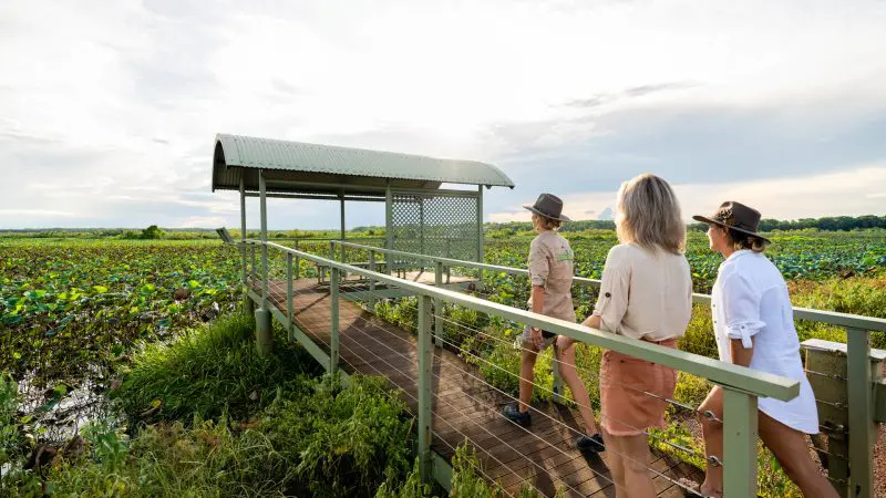 Three visitors stroll along a scenic boardwalk to a lookout in green Fogg Dam Wetlands on a Litchfield National Park day tour.