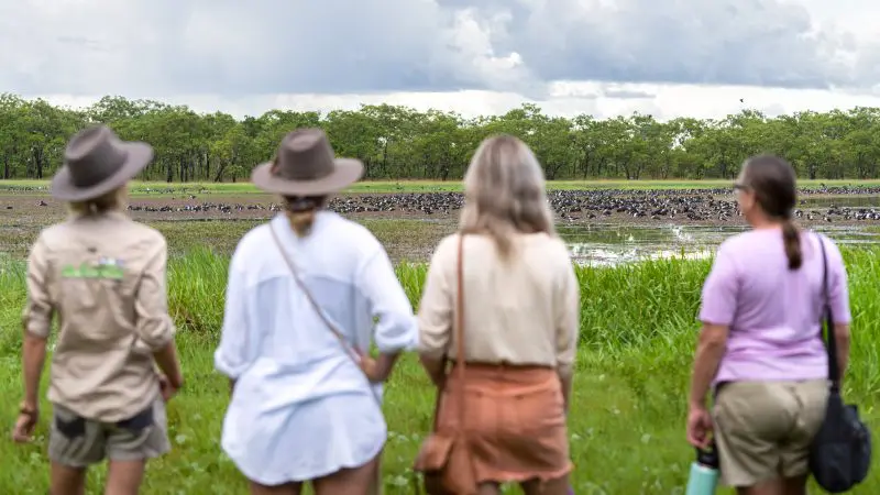 Group of four in outdoor attire birdwatching beside a wetland on a Half Day Jumping Crocodile Tour from Darwin, Australia.