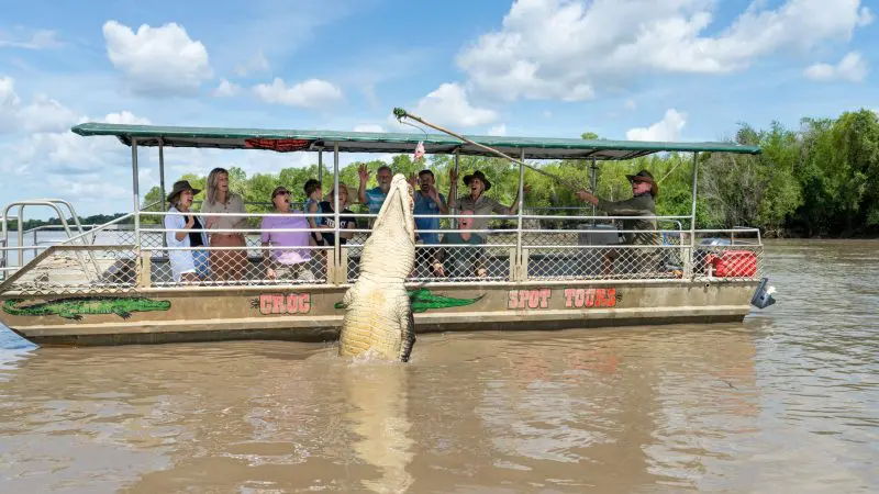 Powerful crocodile leaps from river beside Half Day Jumping Crocodile Tour boat near Darwin, captivating amazed onlookers.