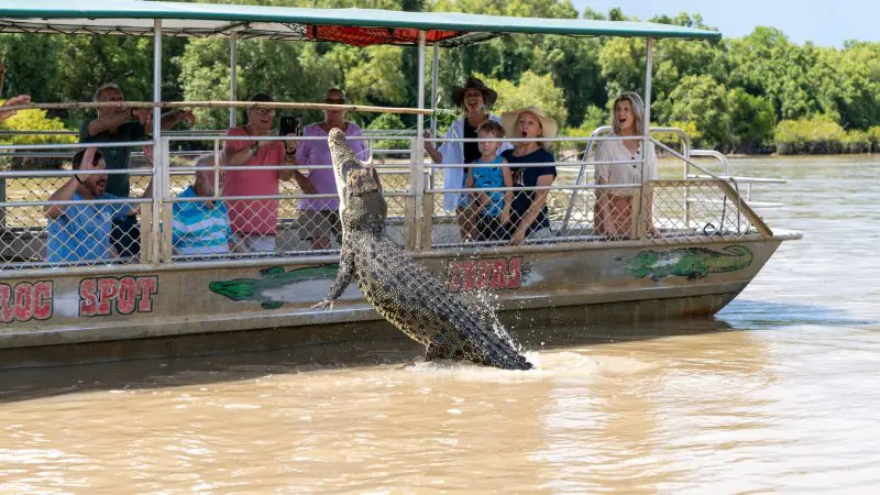 Powerful crocodile leaps from muddy river beside 1 Day Litchfield National Park Crocodile Cruise boat, framed by lush green trees.