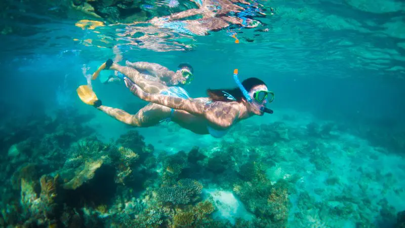 Two snorkellers exploring vibrant coral reef, similar to the 6 Day Perth to Exmouth Coral Coaster Tour adventure experience.