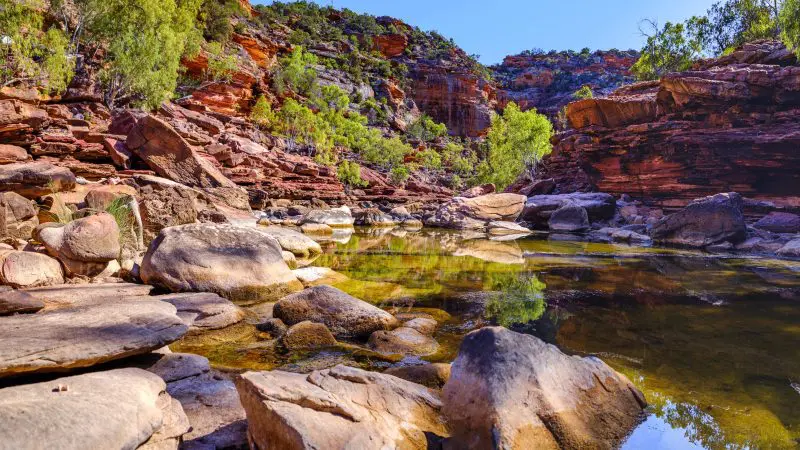 Stunning rocky gorge with crystal-clear water mirroring lush trees and striking red cliffs on the Perth to Exmouth Coral Coaster tour.