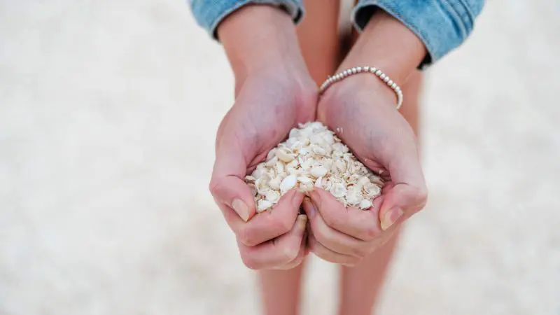 Close-up of hands with white seashells, wearing a denim jacket and beaded bracelet on a 6 Day Perth to Exmouth Coral Coaster tour.