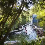 Guests unwind and swim in a natural hot spring pool, immersed in lush scenery after arriving via Peninsula Hot Springs Spa Shuttle Coach.