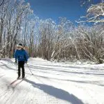 Experience cross-country skiing on Lake Mountain with a 1 Day Snow Tour from Melbourne under clear blue skies, perfect for winter adventure.