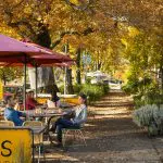 Visitors relax at outdoor café tables beneath vibrant red umbrellas, enjoying a break before a 1 Day Lake Mountain Snow Tour from Melbourne.