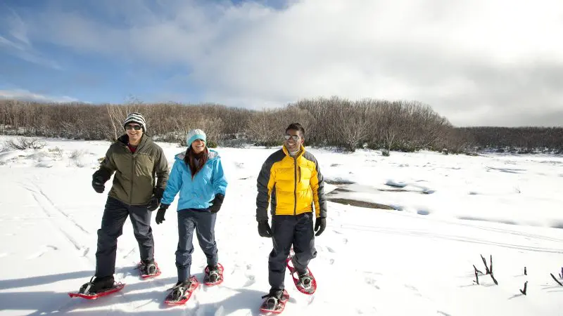 Three adventurers in winter gear snowshoe across snowy Lake Mountain, the ideal spot for a 1 Day Lake Mountain Snow Tour from Melbourne.