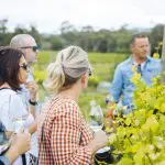 Tour group savouring premium wines with a guide during a Hunter Valley Signature Wine Tour on an overcast day, wine glasses in hand.