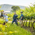Travellers savour a premium Hunter Valley Wine Tour; guided tastings amid lush vineyards, rolling hills, and scenic countryside views.