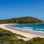 Scenic curved sandy beach with crystal-clear turquoise waves, lush green hills, and vibrant blue sky on a Wilsons Promontory tour.