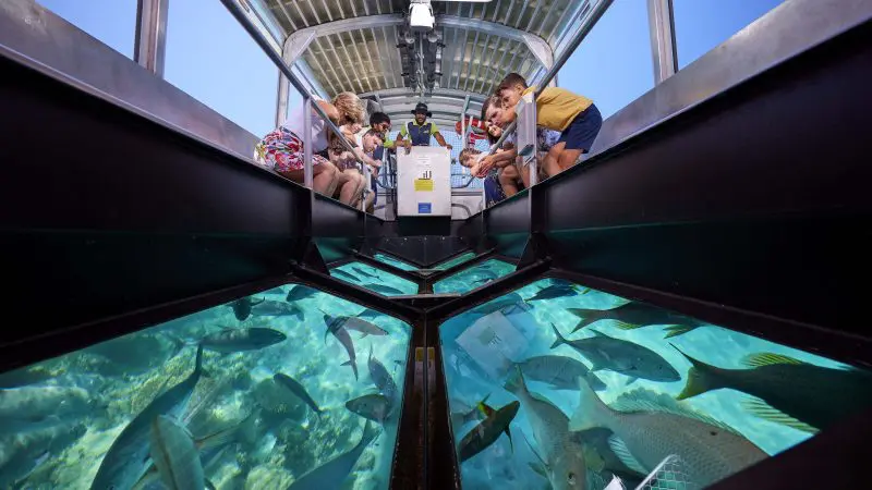 Tourists on a glass-bottomed boat admire vibrant marine life during a Half-Day Green Island tour with 9am departure, Great Barrier Reef.