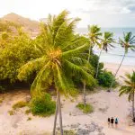 Stunning tropical beach with lush palm trees, vibrant greenery, and three adventurers enjoying their 28 Day Oz East Coast Adventure.