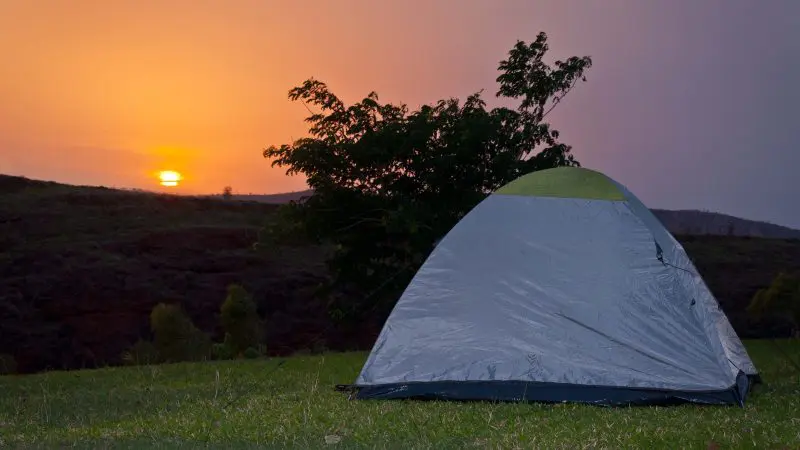 Grey tent pitched on grassy field beside a tree at sunset, ideal setting for a 10-Day Broome to Darwin Kimberley 4WD adventure tour.